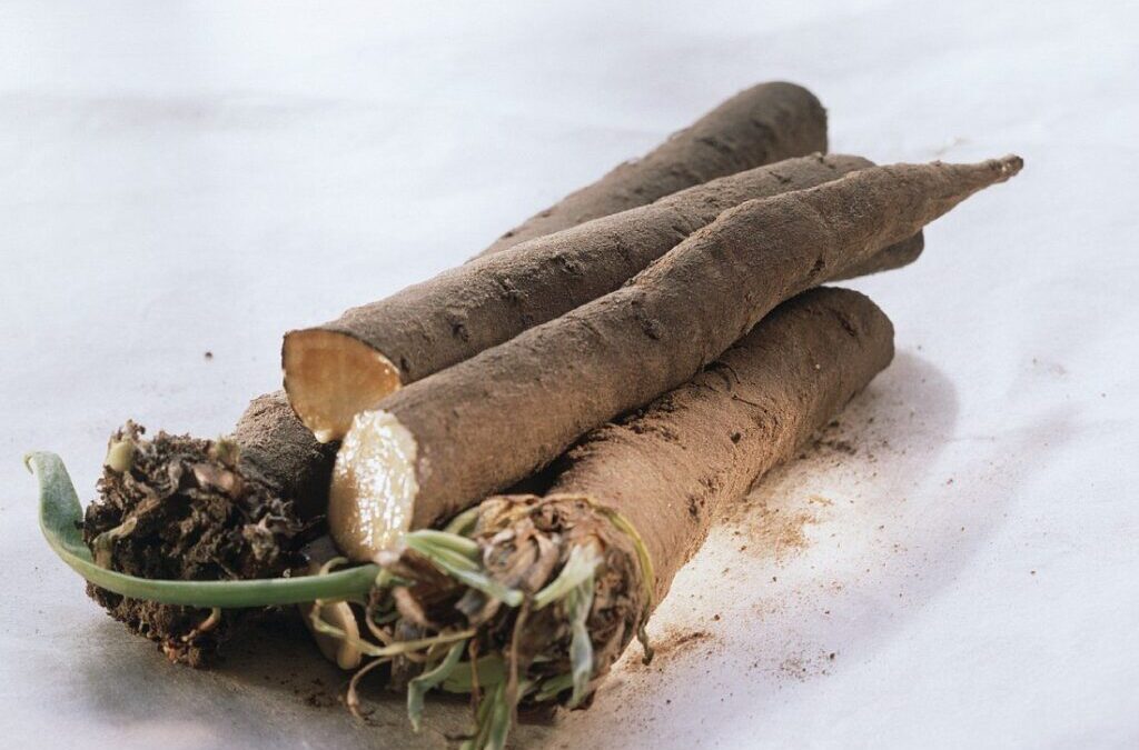 Wężymord
