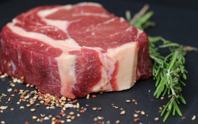 Dieta paleo