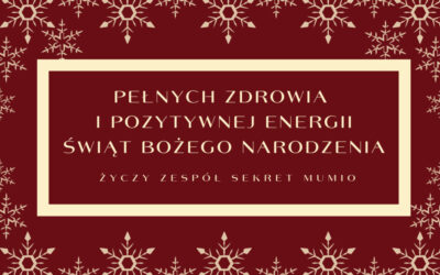 Wesołych Świąt!