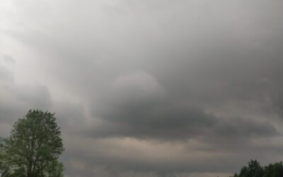 Spójrz w niebo